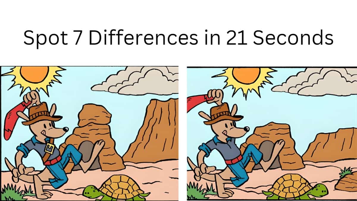 Spot The Difference Can You Spot 7 Differences In 21 Seconds